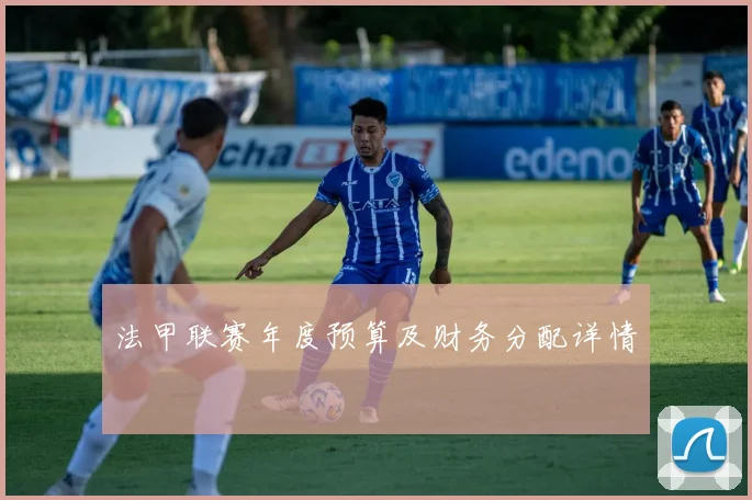 法甲联赛年度预算及财务分配详情