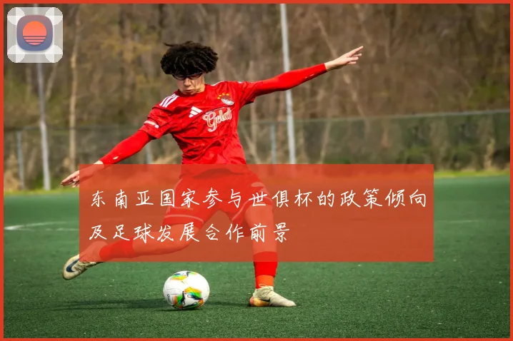 东南亚国家参与世俱杯的政策倾向及足球发展合作前景