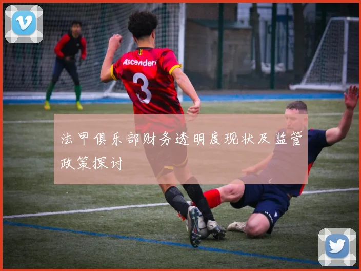 法甲俱乐部财务透明度现状及监管政策探讨