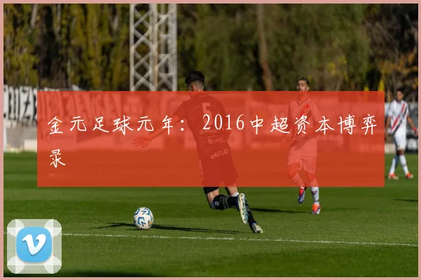 金元足球元年：2016中超资本博弈录