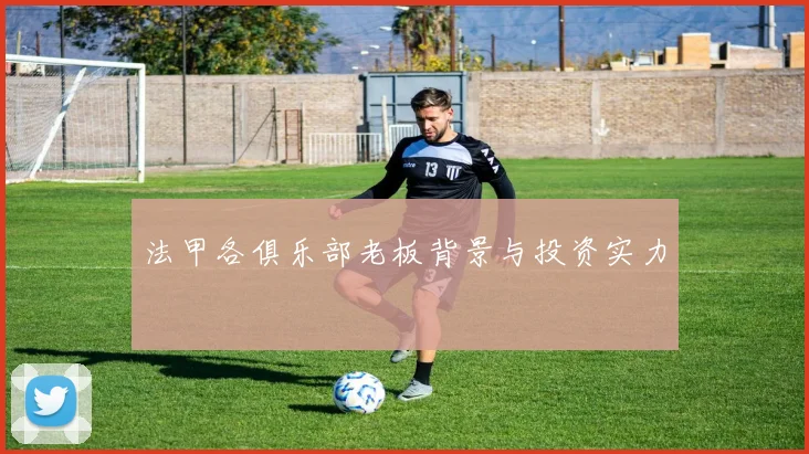 法甲各俱乐部老板背景与投资实力